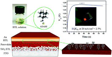 Graphical abstract: Addition of adamantylammonium iodide to hole transport layers enables highly efficient and electroluminescent perovskite solar cells