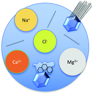 Graphical abstract: Ice nucleation by particles containing long-chain fatty acids of relevance to freezing by sea spray aerosols