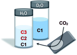 Graphical abstract: Mechanistic insights into C2 and C3 product generation using Ni3Al and Ni3Ga electrocatalysts for CO2 reduction