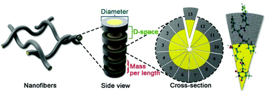 Graphical abstract: Determination of the packing model of a supramolecular nanofiber via mass-per-length measurement and de novo simulation