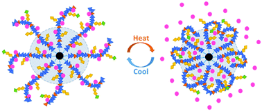 Graphical abstract: Thermo-responsive phase-transition polymer grafted magnetic FePt nanoparticles with tunable critical temperature for controlled drug release