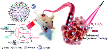 Graphical abstract: The design of Janus black phosphorus quantum dots@metal–organic nanoparticles for simultaneously enhancing environmental stability and photodynamic therapy efficiency