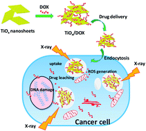 Graphical abstract: Dual-stimuli-responsive TiOx/DOX nanodrug system for lung cancer synergistic therapy