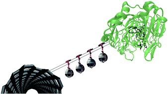 Graphical abstract: Molecular engineering of the bio/nano-interface for enzymatic electrocatalysis in fuel cells