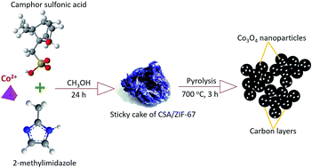 Graphical abstract: Uniformly self-decorated Co3O4 nanoparticles on N, S co-doped carbon layers derived from a camphor sulfonic acid and metal–organic framework hybrid as an oxygen evolution electrocatalyst