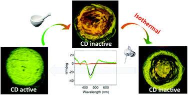 Graphical abstract: A self-recovering mechanochromic chiral π-gelator