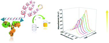 Graphical abstract: A new colorimetric assay method for the detection of anti-hepatitis C virus antibody with high sensitivity