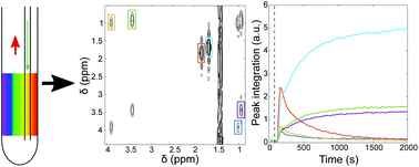 Graphical abstract: Online reaction monitoring by single-scan 2D NMR under flow conditions