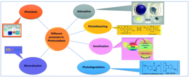 Graphical abstract: Good practices for reporting the photocatalytic evaluation of a visible-light active semiconductor: Bi2O3, a case study