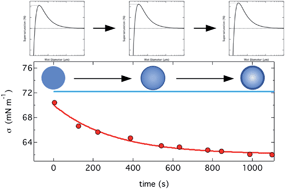 Graphical abstract: Effects of surface tension time-evolution for CCN activation of a complex organic surfactant