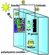 Graphical abstract: Enhancement of photoelectrochemical organics degradation and power generation by electrodeposited coatings of g-C3N4 and graphene on TiO2 nanotube arrays