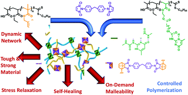 Graphical abstract: Dual-dynamic interpenetrated networks tuned through macromolecular architecture