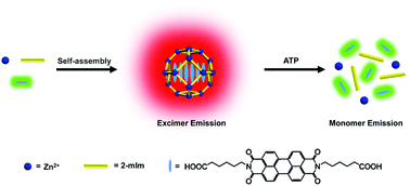 Graphical abstract: Novel perylene probe-encapsulated metal–organic framework nanocomposites for ratiometric fluorescence detection of ATP