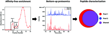 Graphical abstract: Affinity-free enrichment and mass spectrometry analysis of the ovarian cancer biomarker CA125 (MUC16) from patient-derived ascites