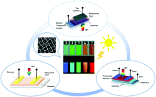 Graphical abstract: Metal halide perovskite nanocrystals: application in high-performance photodetectors