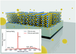 Graphical abstract: Vertically-oriented MoS2 nanosheets for nonlinear optical devices