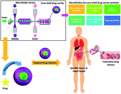 Graphical abstract: Microfluidics for core–shell drug carrier particles – a review