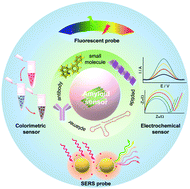 Graphical abstract: Design principles and fundamental understanding of biosensors for amyloid-β detection