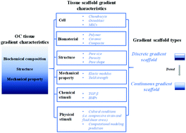 Graphical abstract: Gradient scaffolds for osteochondral tissue engineering and regeneration