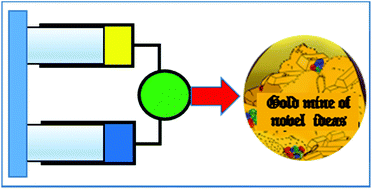 Graphical abstract: Kinetics of Cu(ii) complexation by ATCUN/NTS and related peptides: a gold mine of novel ideas for copper biology