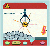 Graphical abstract: Bifunctional chelators for radiorhenium: past, present and future outlook