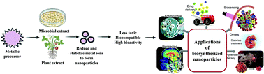 Graphical abstract: Green approaches for the synthesis of metal and metal oxide nanoparticles using microbial and plant extracts