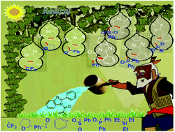 Graphical abstract: The construction of benzimidazo[2,1-a]isoquinolin-6(5H)-ones from N-methacryloyl-2-phenylbenzoimidazoles through radical strategies