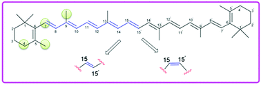 Graphical abstract: Conformation-dependent antioxidant properties of β-carotene