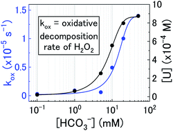 Graphical abstract: The kinetics and mechanism of H2O2 decomposition at the U3O8 surface in bicarbonate solution