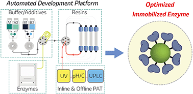 Graphical abstract: Data-rich process development of immobilized biocatalysts in flow