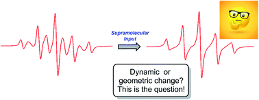 Graphical abstract: Spin-labelled mechanically interlocked molecules as models for the interpretation of biradical EPR spectra