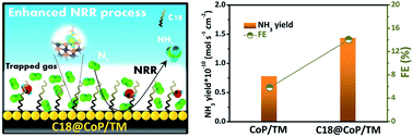 Graphical abstract: Alkylthiol surface engineering: an effective strategy toward enhanced electrocatalytic N2-to-NH3 fixation by a CoP nanoarray