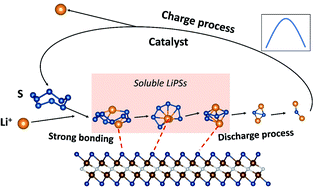 Graphical abstract: Nitride MXenes as sulfur hosts for thermodynamic and kinetic suppression of polysulfide shuttling: a computational study