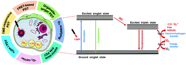 Graphical abstract: Innovative strategies for enhanced tumor photodynamic therapy