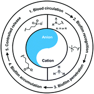 Graphical abstract: Self-targeting of zwitterion-based platforms for nano-antimicrobials and nanocarriers