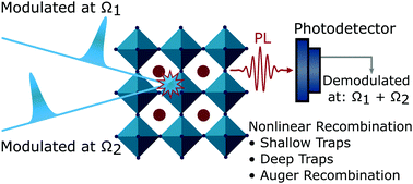 Graphical abstract: Nonlinear photocarrier dynamics and the role of shallow traps in mixed-halide mixed-cation hybrid perovskites