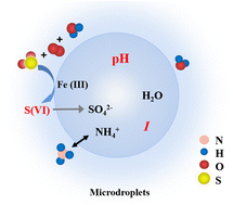 Graphical abstract: Directly measuring Fe(iii)-catalyzed SO2 oxidation rate in single optically levitated droplets