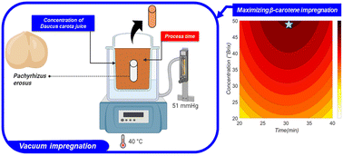 Graphical abstract: Use of response surface methodology to optimise vacuum impregnation of β-carotene from Daucus carota in Pachyrhizus erosus