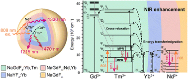 Graphical abstract: A lanthanide nanocomposite with cross-relaxation enhanced near-infrared emissions as a ratiometric nanothermometer