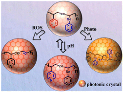 Graphical abstract: Fabrication of multi-responsive photonic crystals based on selenium-containing copolymers