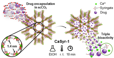 Graphical abstract: Facile, fast and green synthesis of a highly porous calcium-syringate bioMOF with intriguing triple bioactivity