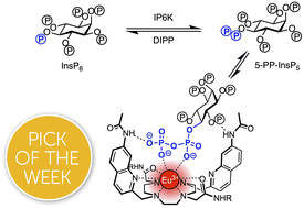 Graphical abstract: Expedient synthesis and luminescence sensing of the inositol pyrophosphate cellular messenger 5-PP-InsP5