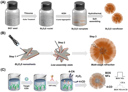 Graphical abstract: Ultrasensitive photoelectrochemical biosensing platform based target-triggered biocatalytic precipitation reactions on a flower-like Bi2O2S super-structured photoanode