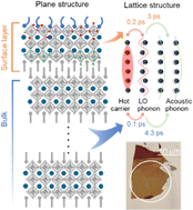 Graphical abstract: Combining two-photon photoemission and transient absorption spectroscopy to resolve hot carrier cooling in 2D perovskite single crystals: the effect of surface layer