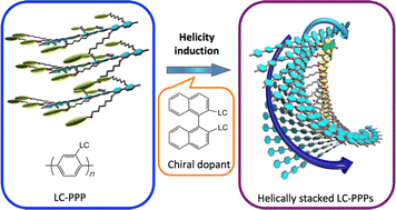 Graphical abstract: Particle dispersion system consisting of helically assembled liquid crystalline poly(para-phenylene)derivatives with reproducible chiroptical properties