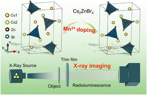 Graphical abstract: Mn2+-doped Cs2ZnBr4 scintillator for X-ray imaging