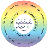 Graphical abstract: Advances in MXene-based luminescence sensing strategies