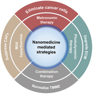 Graphical abstract: Modulating tumor mechanics with nanomedicine for cancer therapy