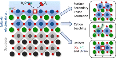 Graphical abstract: Deeper mechanistic insights into epitaxial nickelate electrocatalysts for the oxygen evolution reaction