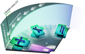 Graphical abstract: Keeping the chromophores crossed: evidence for null exciton splitting